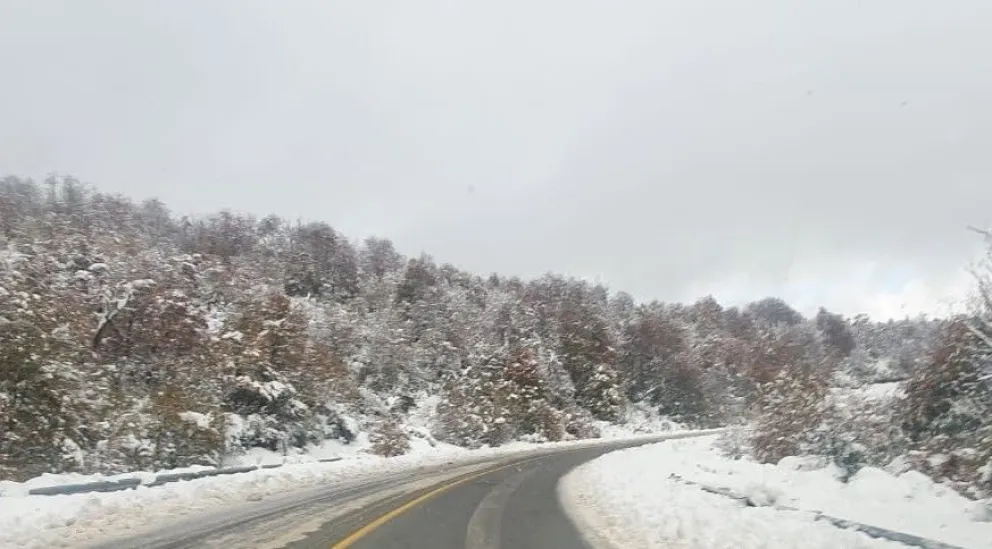 Piden precaución en los parques Nahuel Huapi y Los Arrayanes por las nevadas pronosticadas 