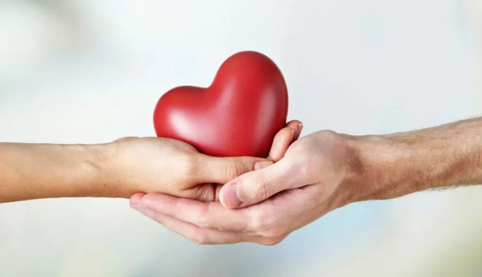 Día Nacional de la Donación de Órganos: actividades en la provincia con el fin de promover la donación
