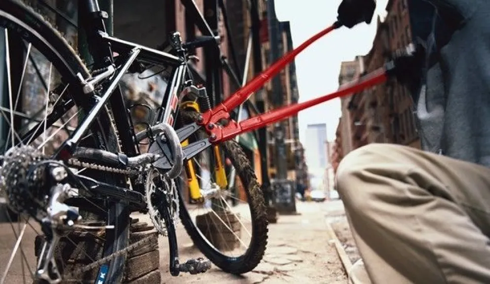 Salteño quiere recuperar la bicicleta que le robaron