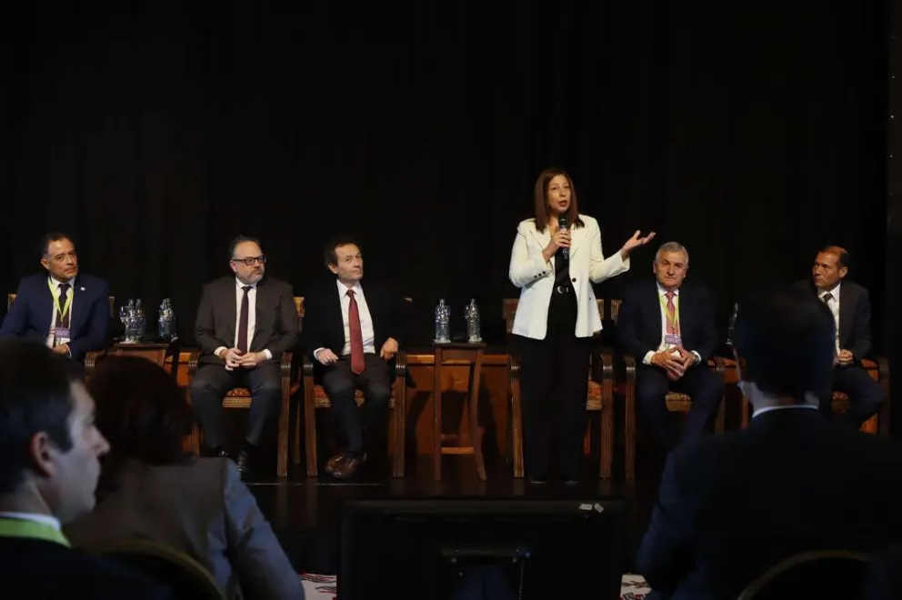 El Consejo Económico y Social comenzó el debate sobre el uso del hidrógeno