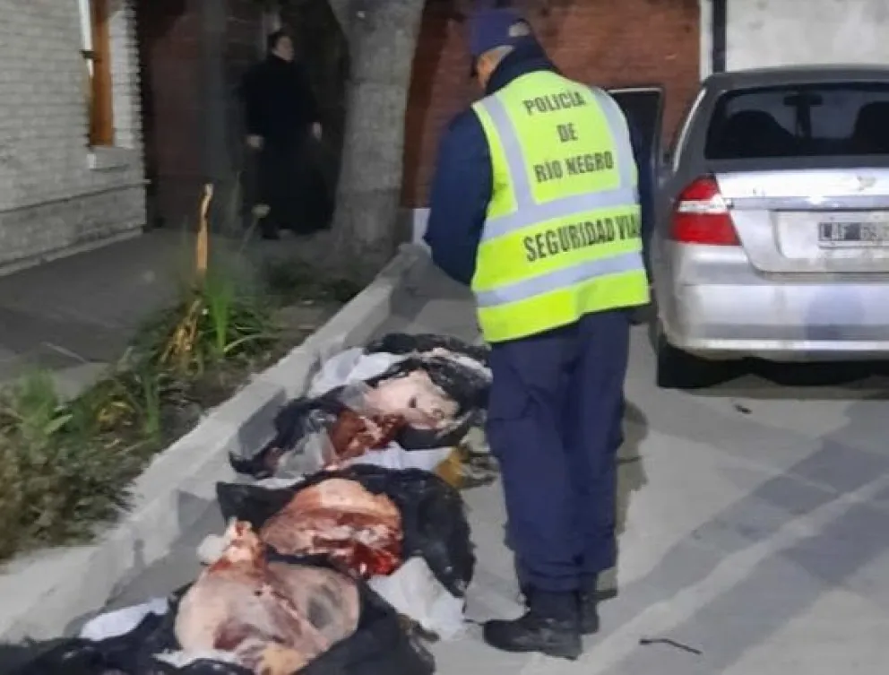 Incautan 170 kilos de carne que se transportaba irregularmente