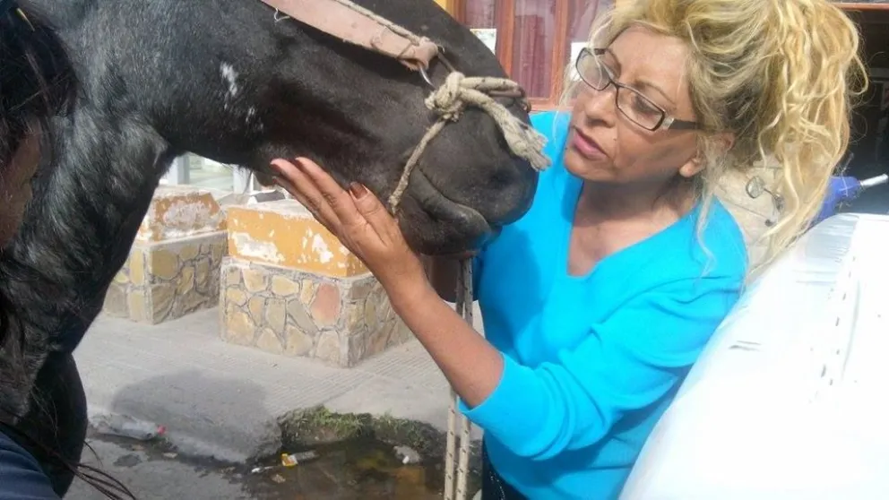 Reconocida proteccionista atraviesa una enfermedad y buscan dar en adopción a sus perros