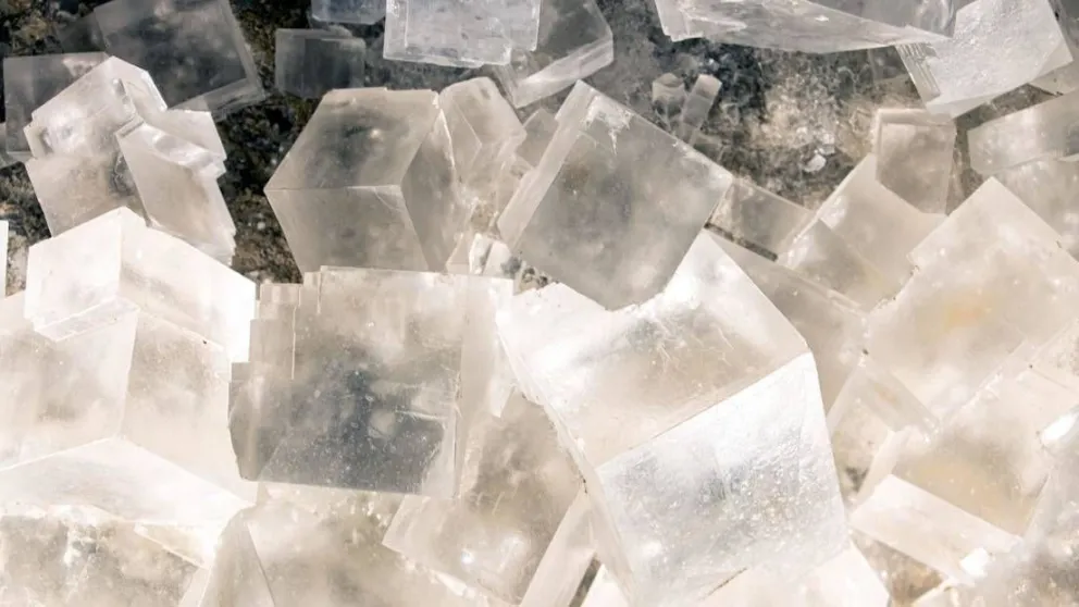 Científicos abrirán cristales de 830 millones de años y podrían contener microorganismos vivos