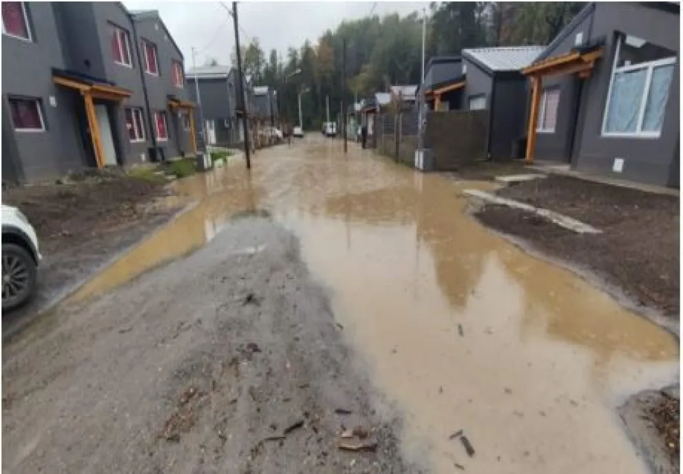 Grupo Árbol: ¿Somos un “Municipio Ecológico a favor de la vida”?