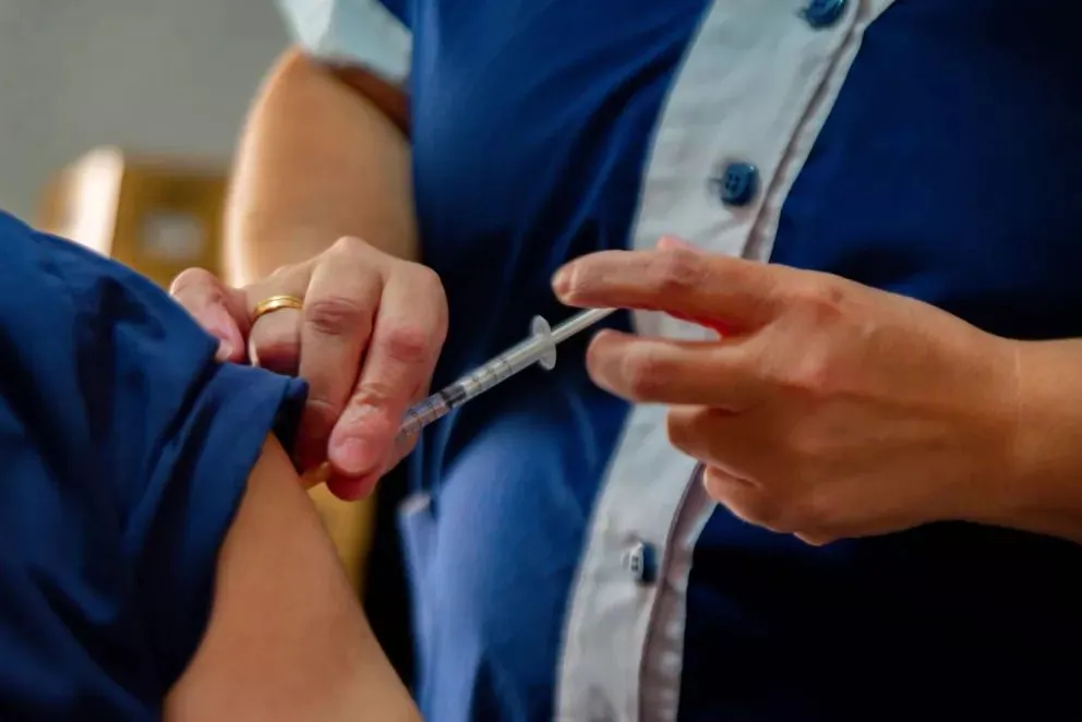 El virus de la gripe está presente en Río Negro