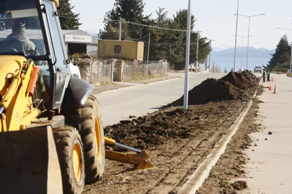 Con fondos de la Ecotasa, plantan árboles en Esandi