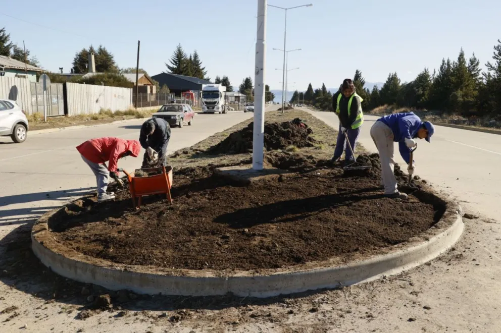 Plantarán árboles y plantas en la avenida Esandi