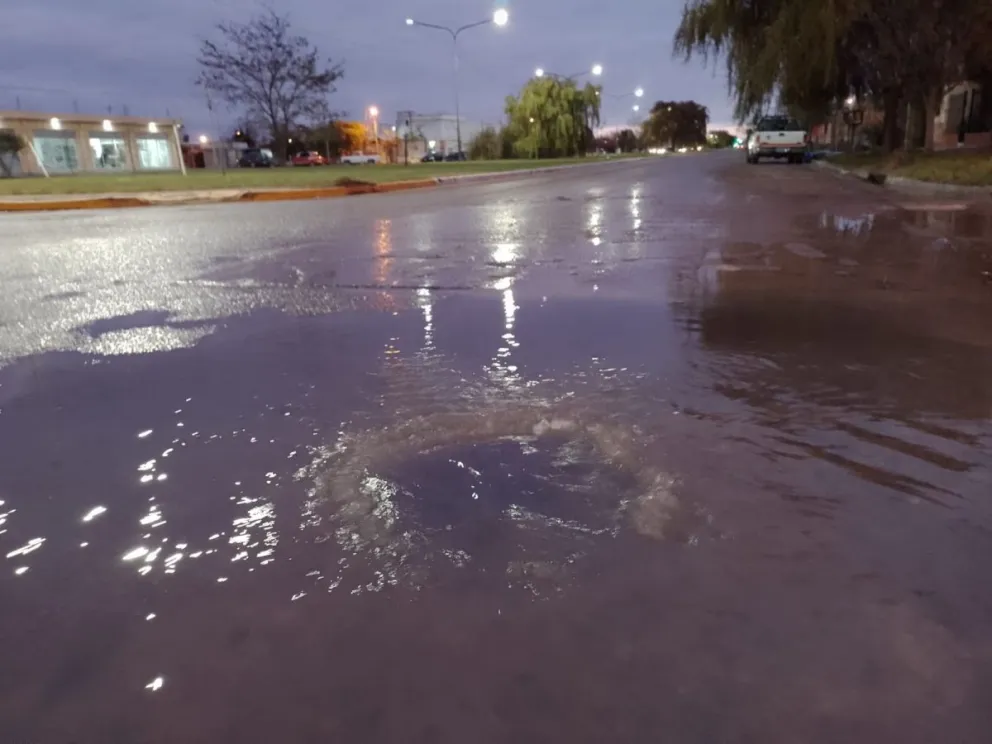 Cada dos por tres: volvió el drama que afecta a residentes del boulevard Sussini