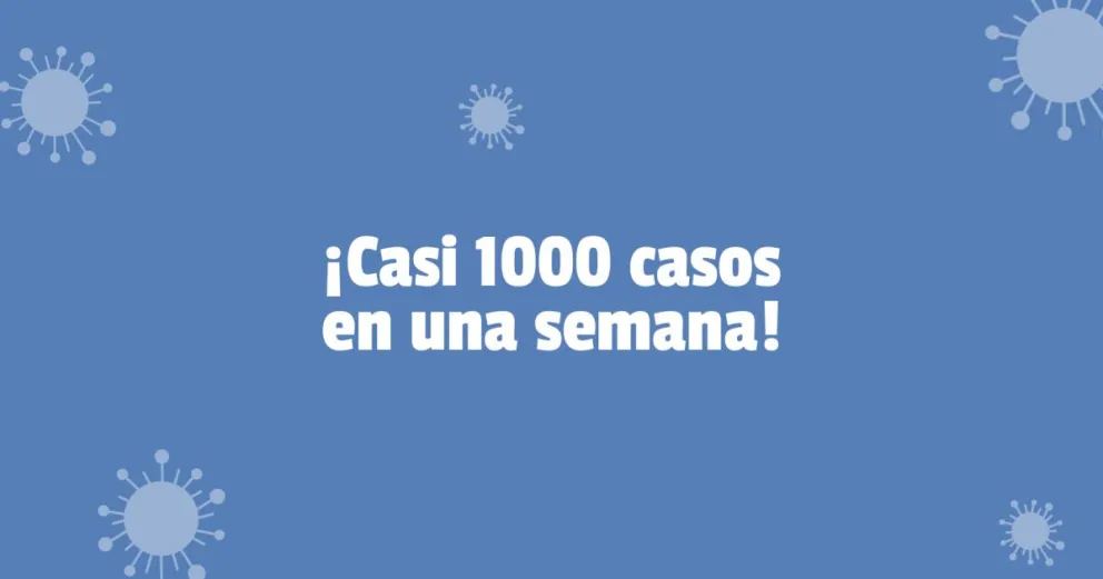 Coronavirus en San Juan: en una semana se registró una muerte y casi 1000 contagios 