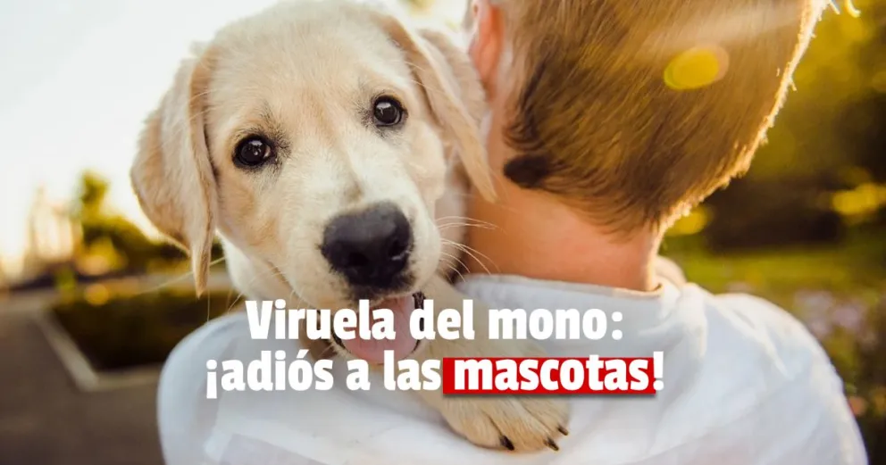 Viruela del mono: ¡adiós a las mascotas!