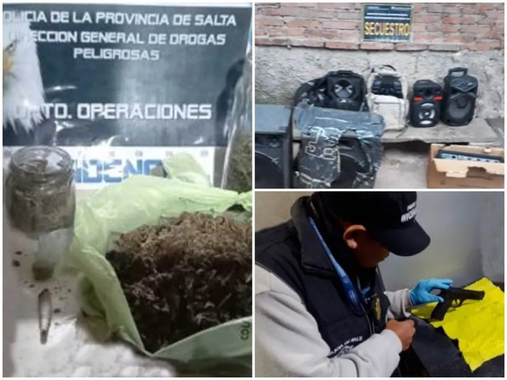 Detuvieron a nueve personas vinculadas a delitos contra la propiedad
