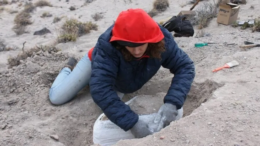 Encontraron fósiles de mamíferos que existieron hace 38 millones de años