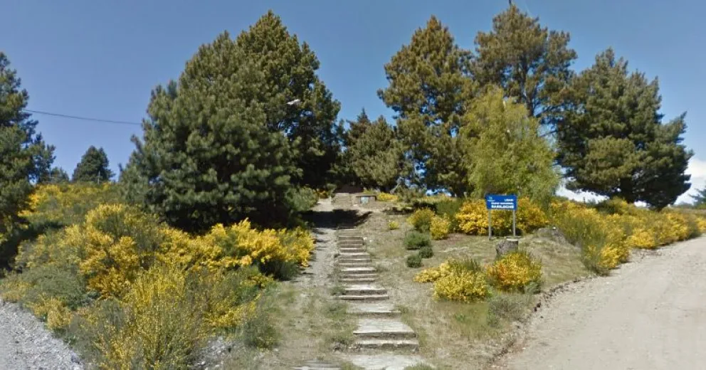 Rescataron a un joven que intentaba colgarse de un árbol para quitarse la vida