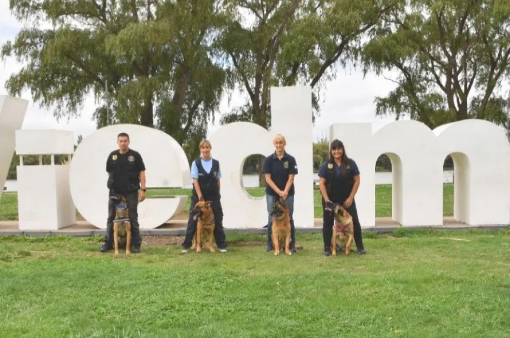 Apolo, el perro de la policía rionegrina que se vistió de héroe