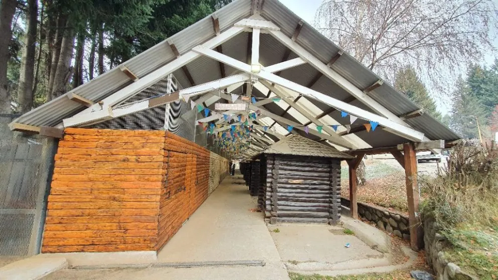 “Necesitamos de la verdad para ser libres”