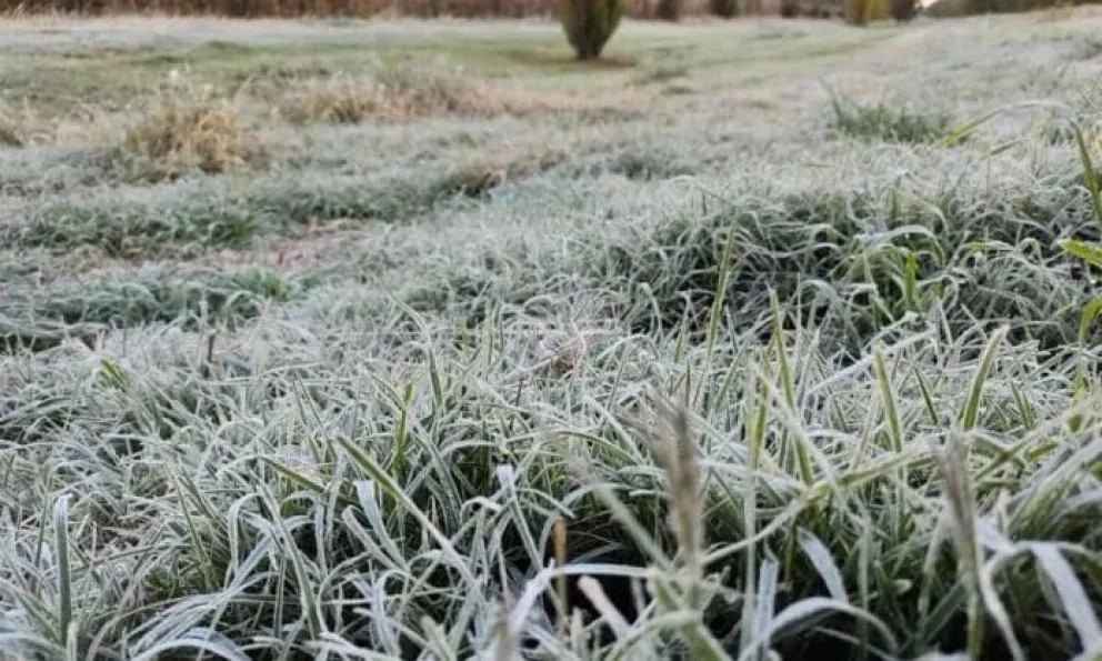 Pronóstico del tiempo en Viedma: cómo estará el clima este domingo 26