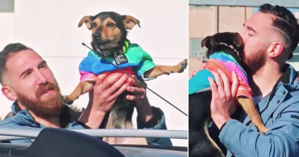 Emotivo reencuentro: Coco, el perro que iba a ser deportado, volvió a ver a su dueño