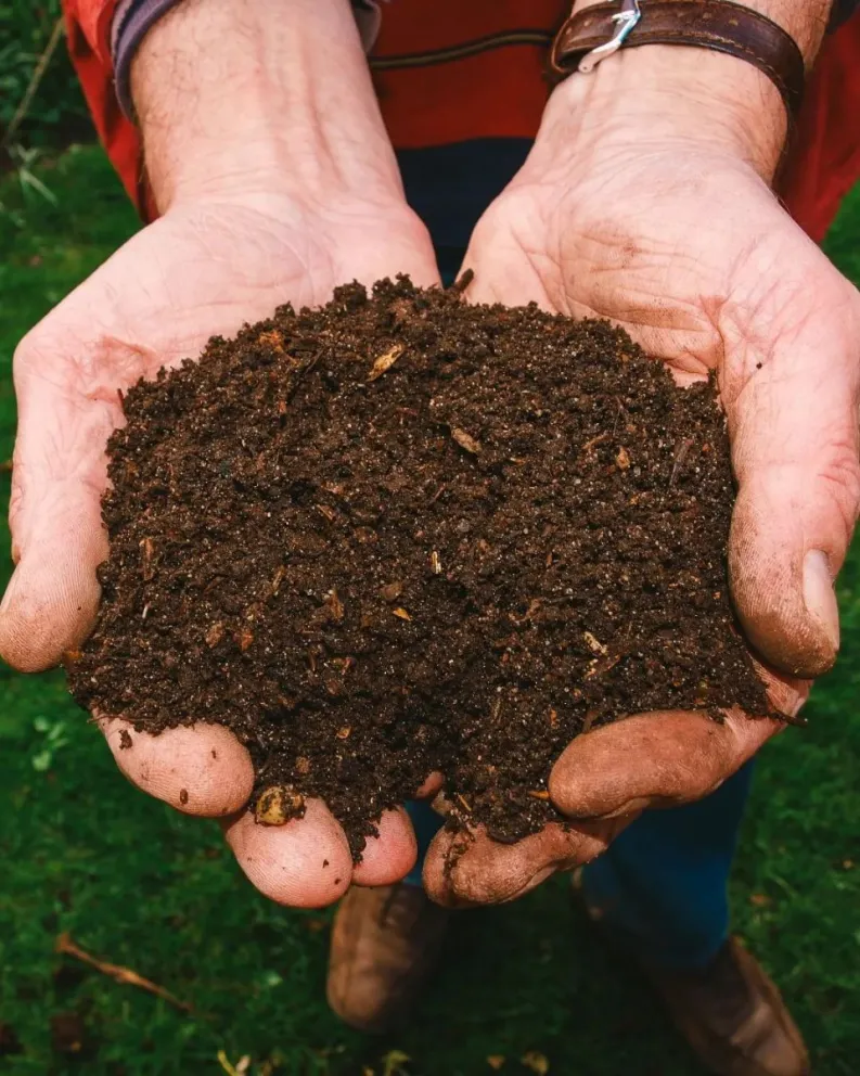 Comienza la Semana del Ambiente 
