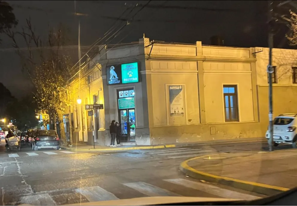 Veterinaria del horror: denuncia que le mataron su mascota y ni le dieron factura