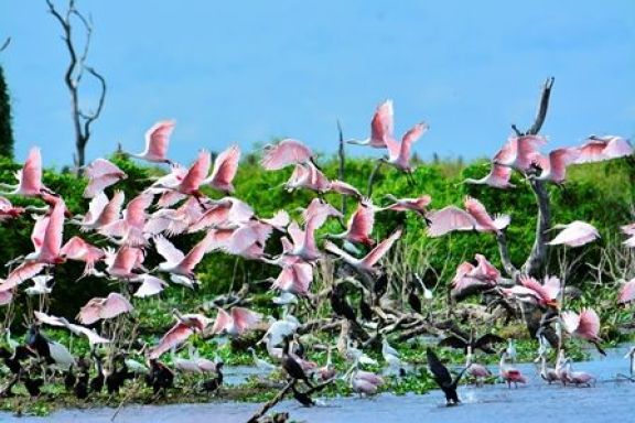 Lugares para no dejar de visitar en Formosa