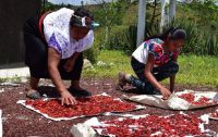 La ONU pide investigar la muerte de tres indígenas en enfrentamientos con la policía en México
