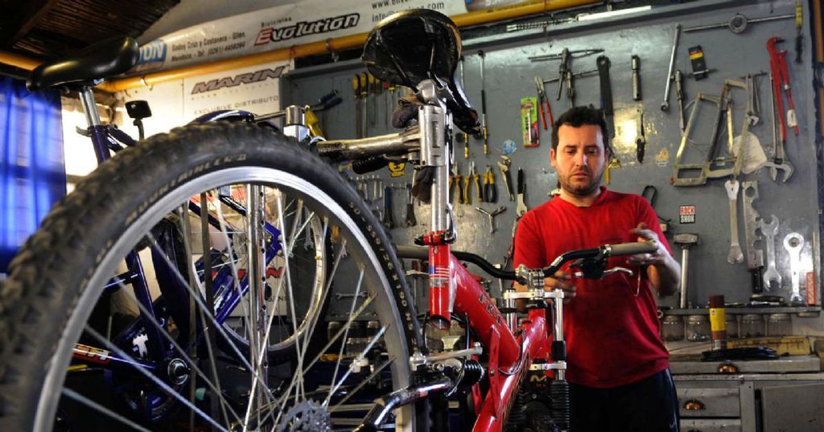 Bicicleterias on sale en plottier