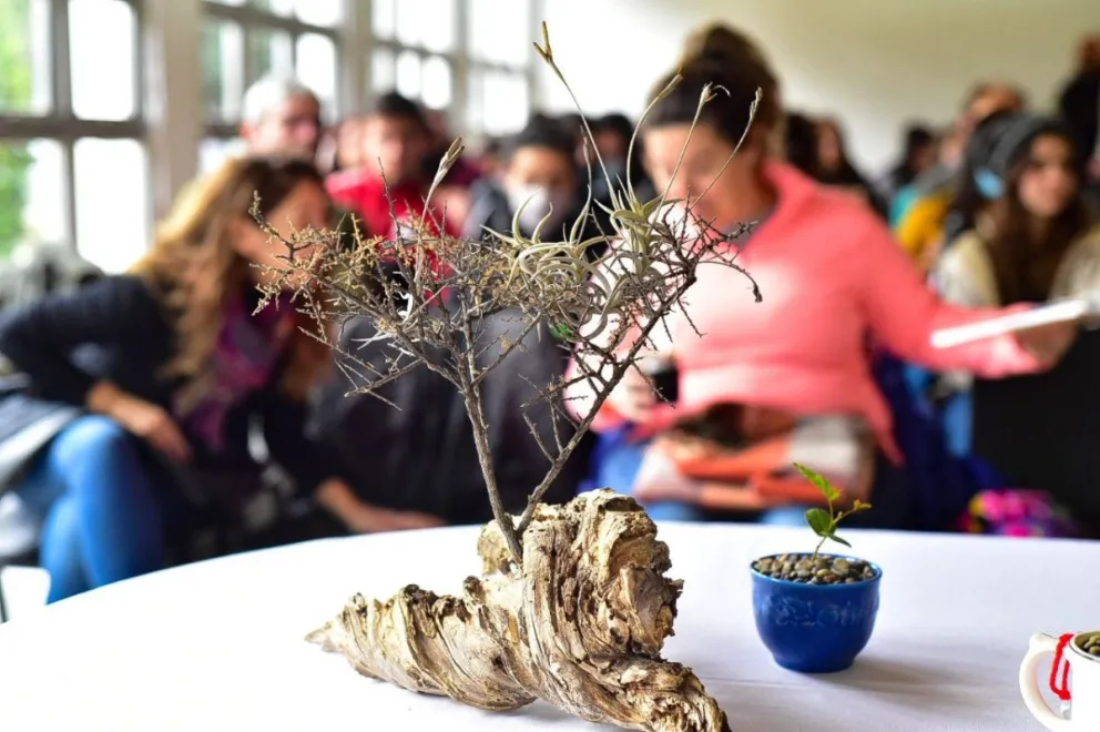 Más de cien participantes en el curso de forestación de especies nativas 