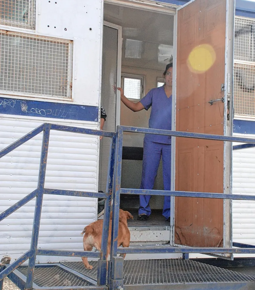 Las esterilizaciones de animales comienzan a realizarse en el barrio Manantial Rosales