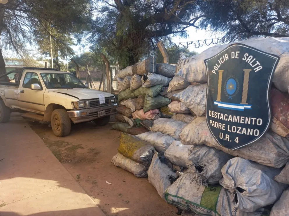 La Policía secuestró 4 toneladas de carbón vegetal en la localidad de Padre Lozano
