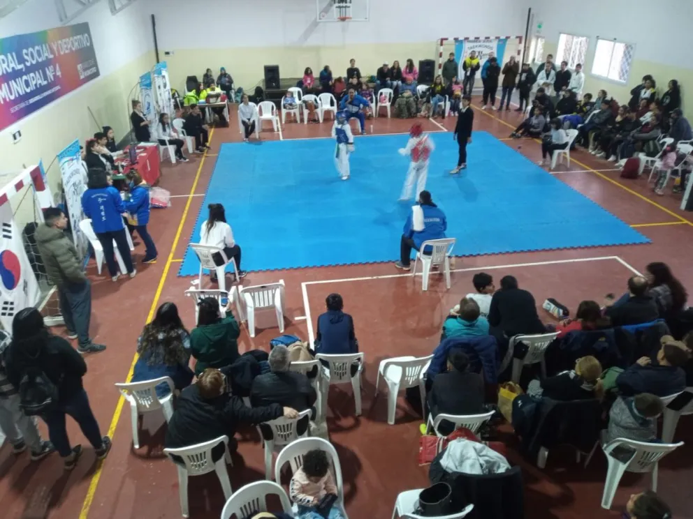 Culminaron las instancias zonales de taekwondo