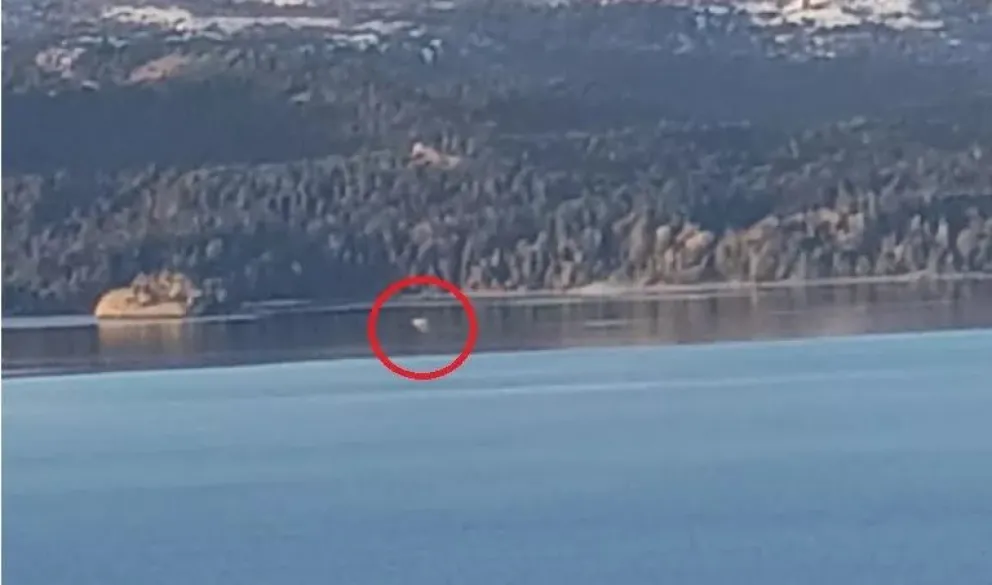 Vecinos afirman que reapareció Nahuelito, el monstruo marino de Bariloche