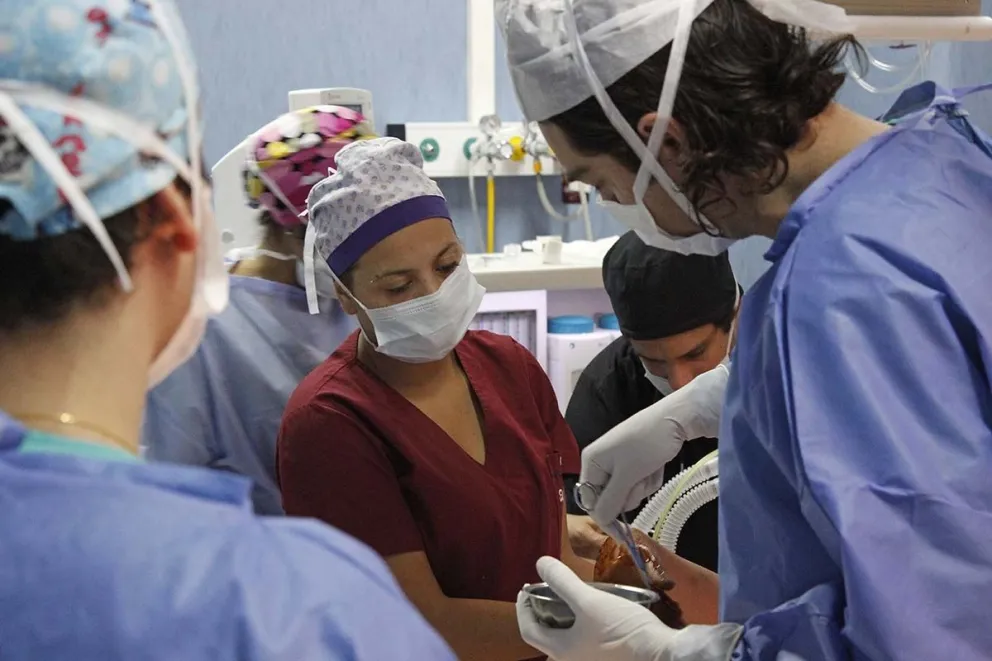 donacion de organos