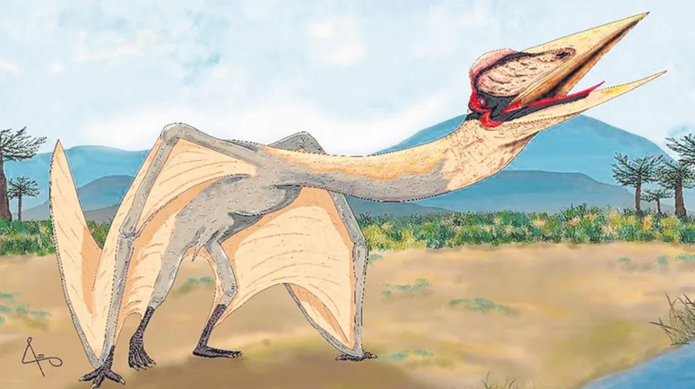Hallan en Mendoza el pterosaurio más grande de Sudamérica