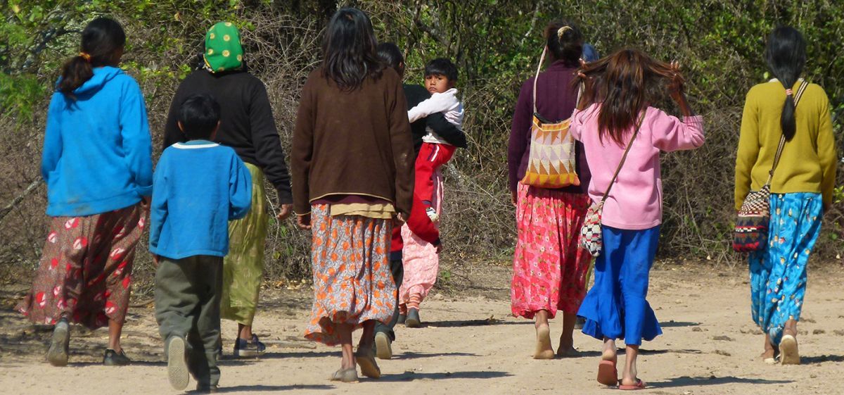 Grupo Documenta presenta el ciclo “Venimos de la Tierra: Culturas en Contacto"