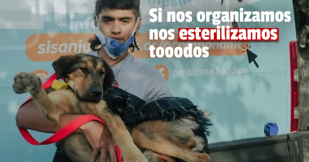 Ambiente: se realizaron más de 6000 esterilizaciones en lo que va del año