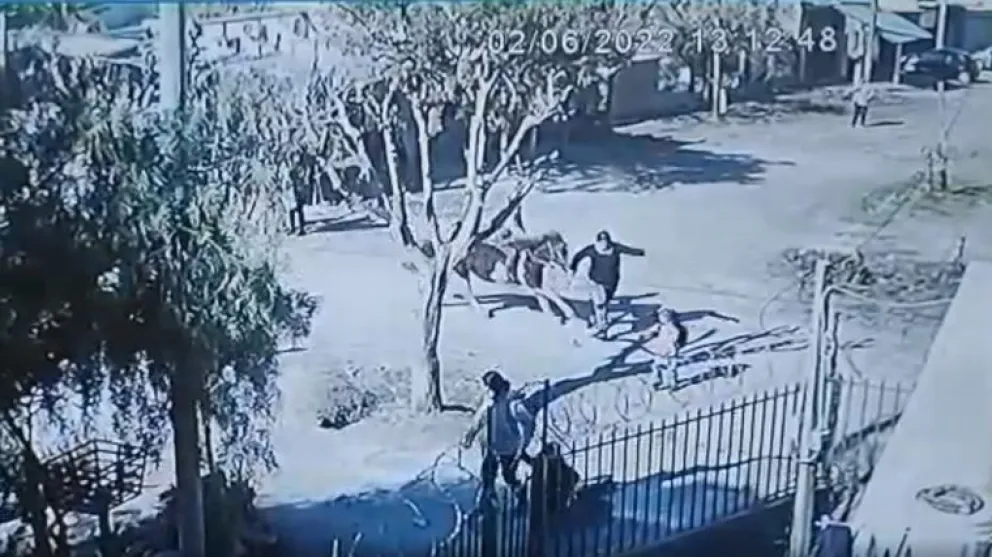Video: un chico atropelló a dos mujeres con un caballo y una quedó en coma
