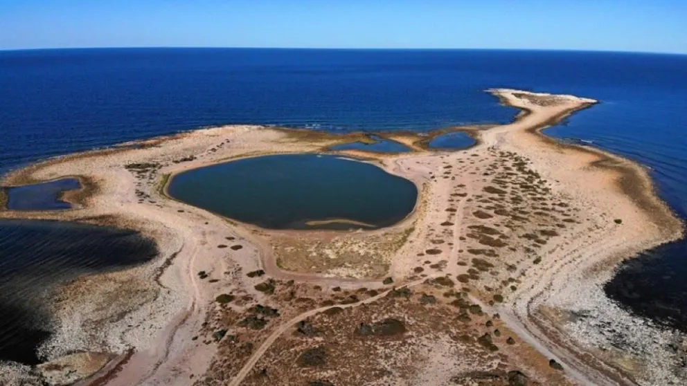 Avanza el proyecto para la creación del Parque Nacional “Islote Lobos” en Río Negro