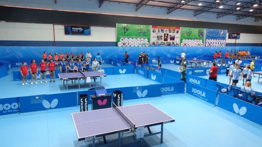 tenis de mesa