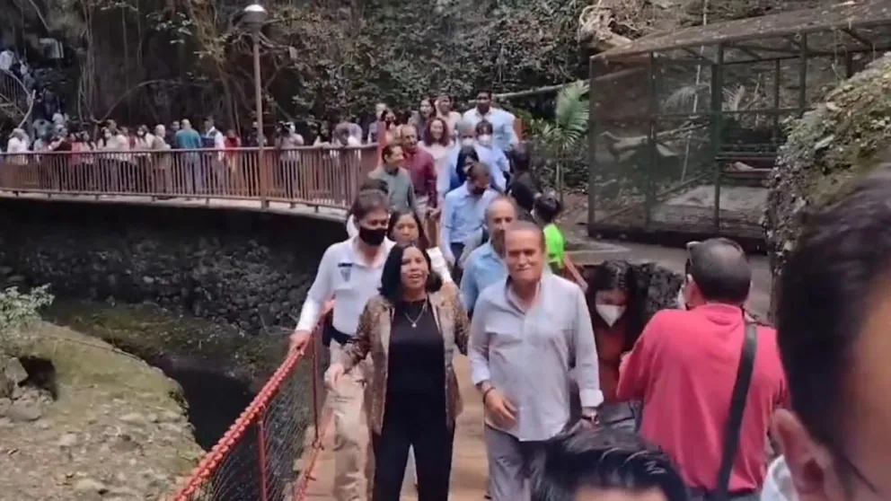 México: se desplomó un puente colgante y hay al menos 25 heridos