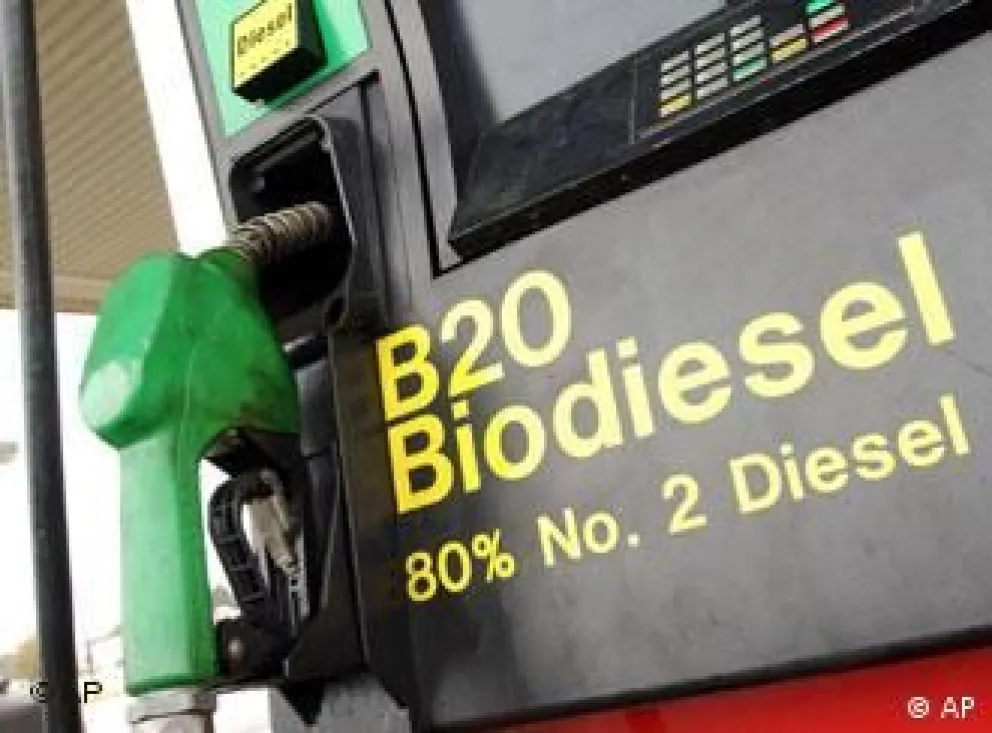 "Biodiésel": el posible salvavidas que tanto necesita Salta