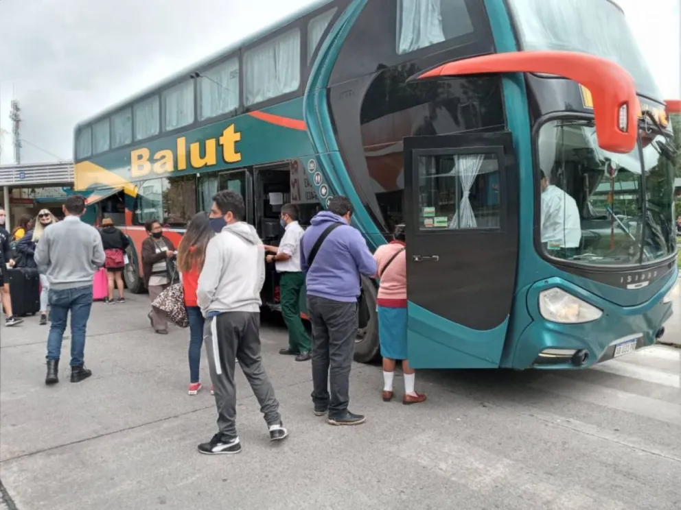 Colectivos 