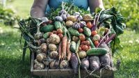Se viene la Primera Feria de Productores Agroecológicos y en Transición “Cultivar”