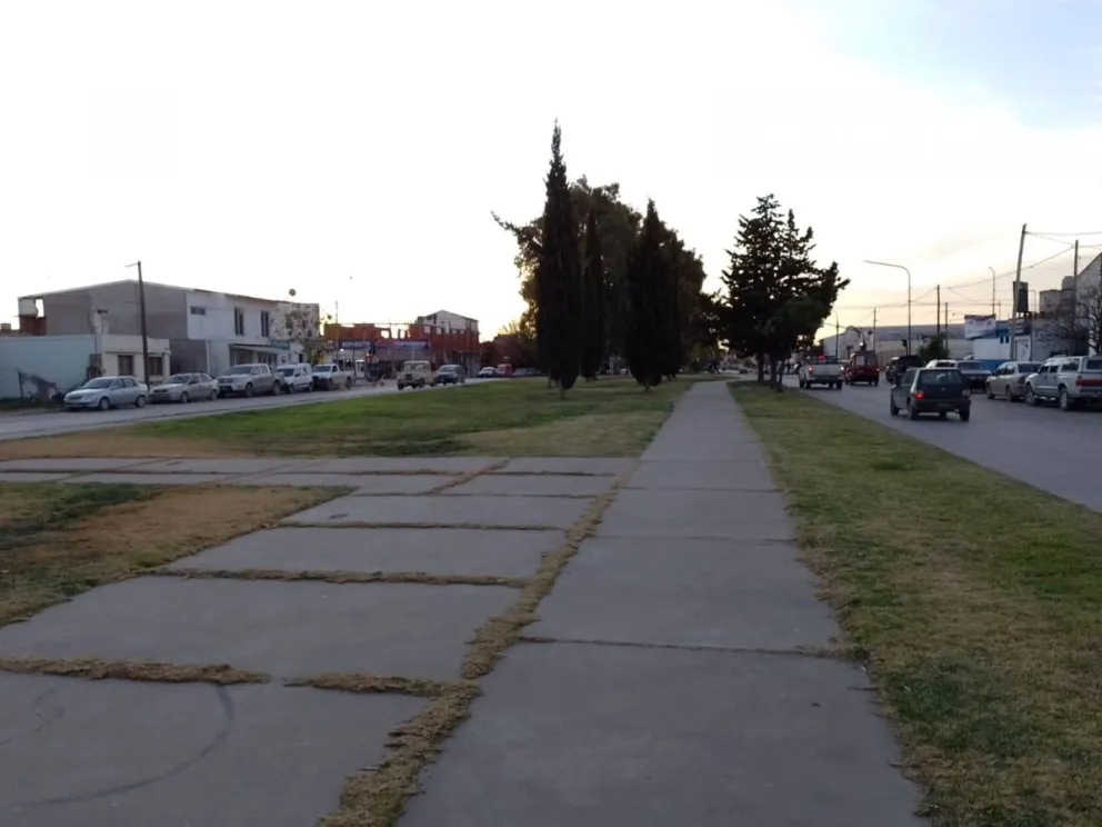 Prioridad de paso en los boulevares de Viedma: ¿Se debe respetar la derecha o no?