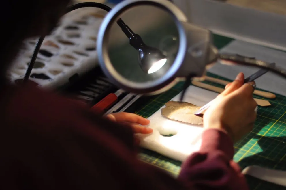 Avanzan en la preservación y digitalización de colecciones arqueológicas