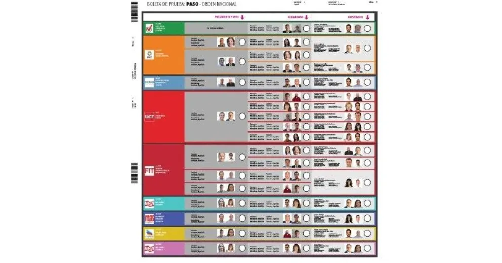 Boleta Única: cómo votaron los diputados de Río Negro