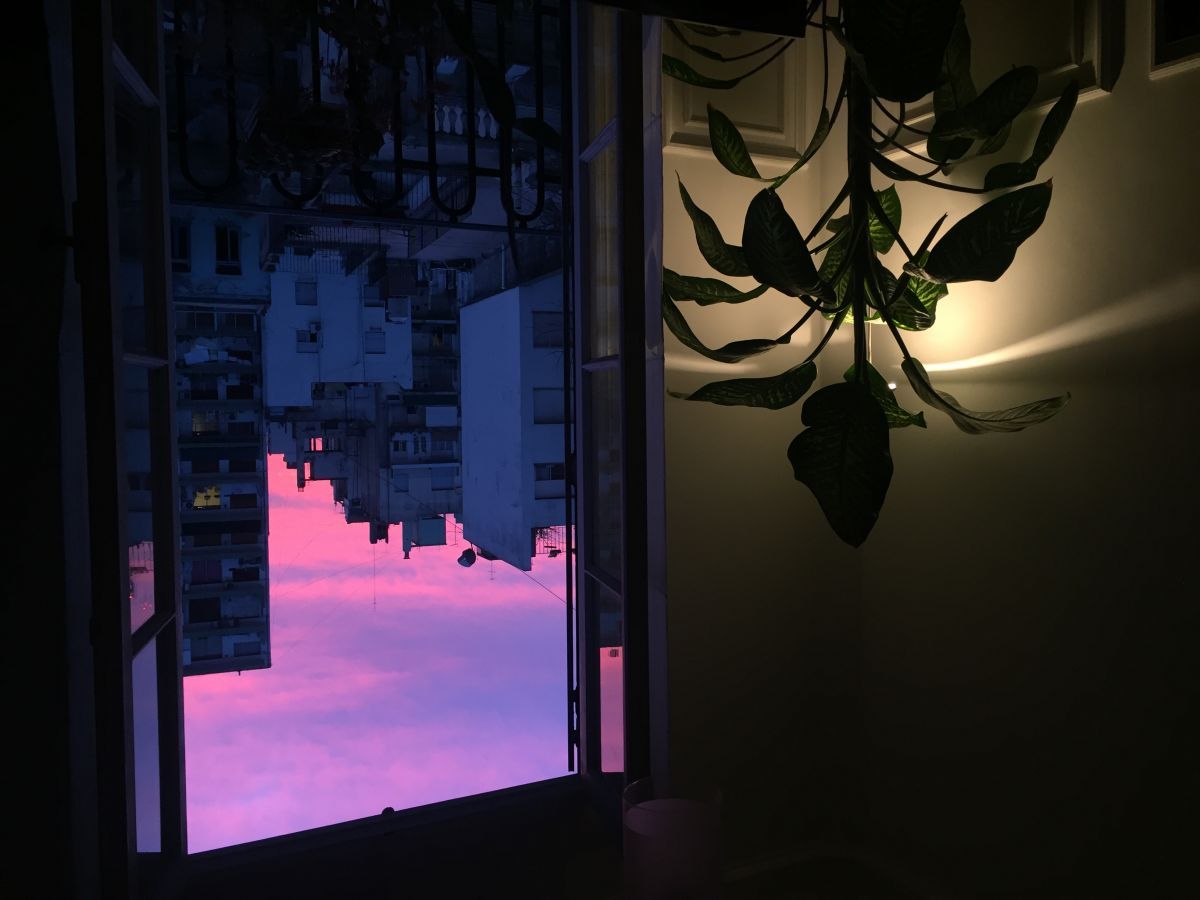 Crítica de "Apuntes desde el encierro", Franca González reflexiona sobre la capacidad de mirar y mirarse en la pandemia