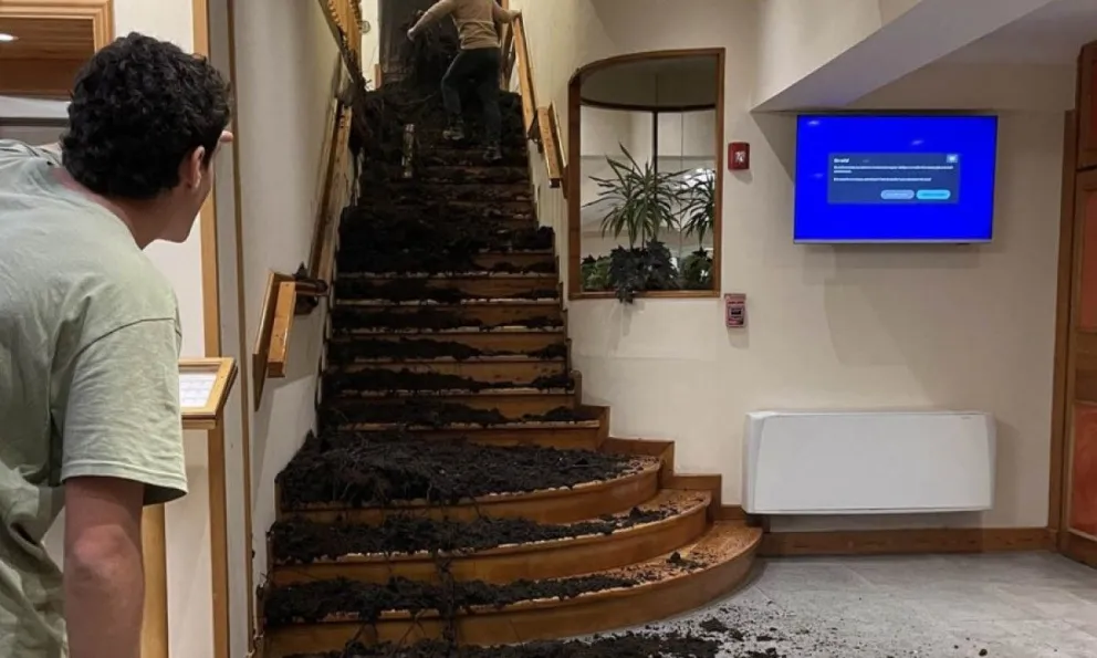 "Se salvó de milagro": la historia de una sobreviviente del alud de Bariloche