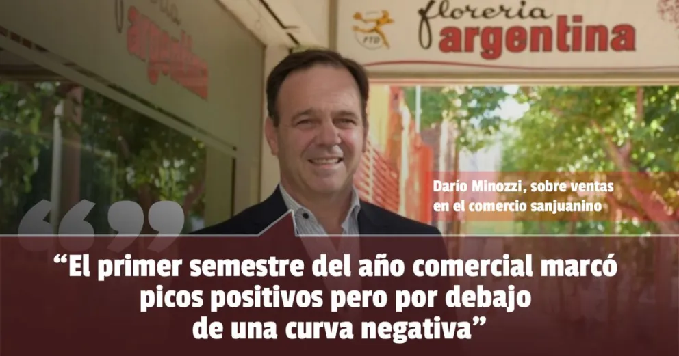 Darío Minozzi: "El primer semestre del año comercial marcó picos positivos pero por debajo de una curva negativa"