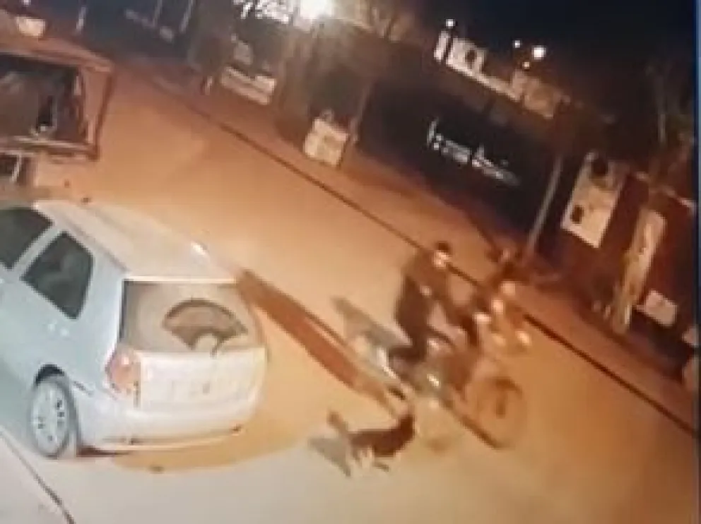 Irracional: iba en bicicleta, le disparó  a  un perro y lo mató