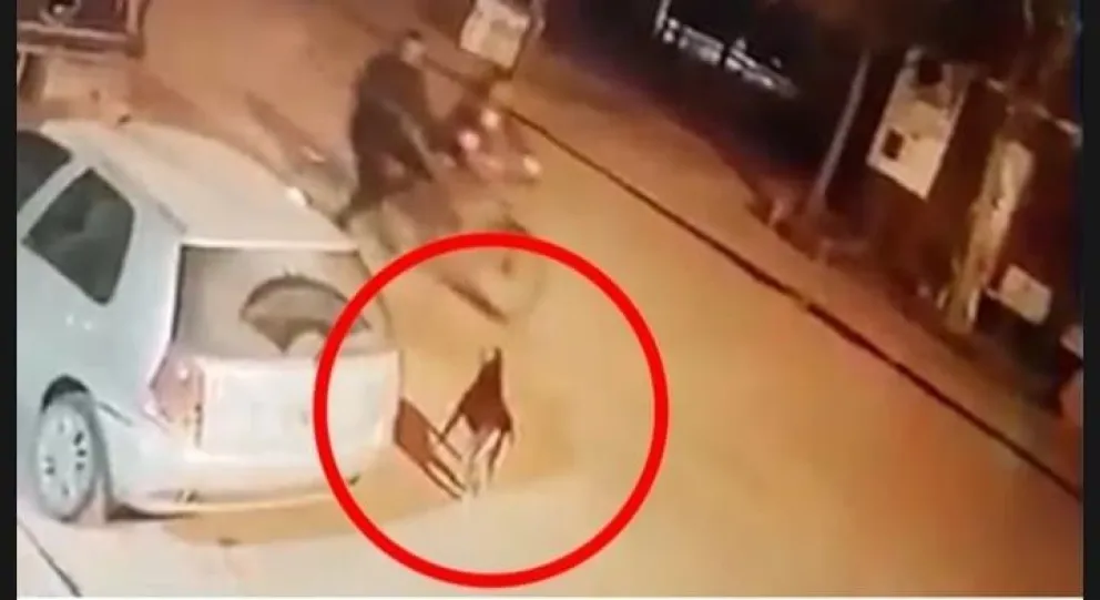 Terrible: iba en bici por la calle y mató de un tiro a un perro